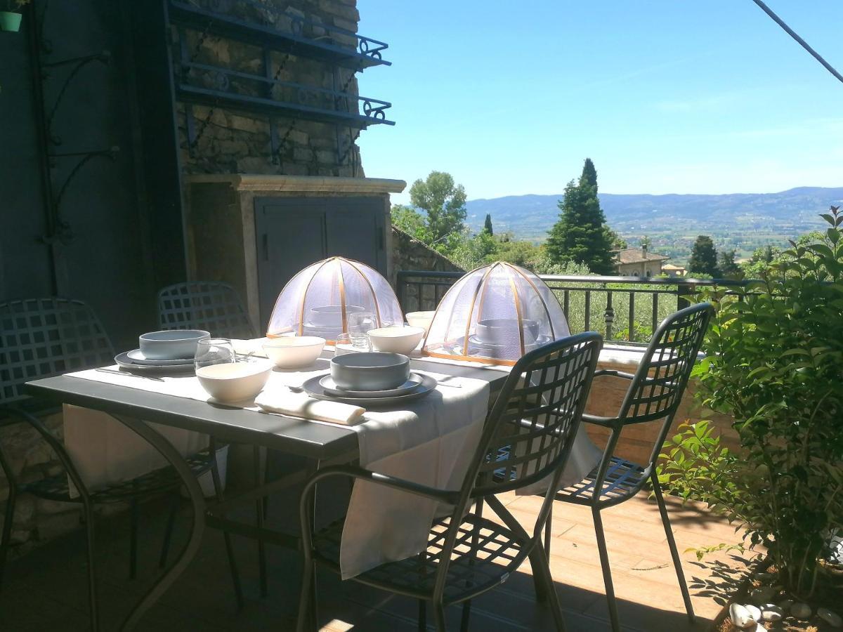 Garden Assisi